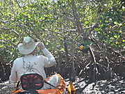 Punta Gorda