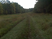 Caching