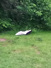 @ Worthington State Park