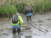 Melvins Multiple Madness Maintenance Mission_4